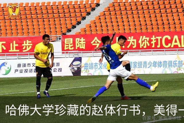 哈佛大学珍藏的赵体行书，美得一塌糊涂，让人不禁要竖大拇哥‍